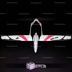 Airplane Model X 3D Printed RC Models