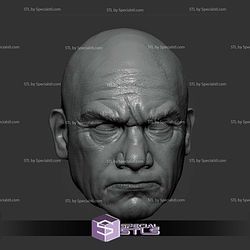 Custom Head STL Collection - Boba Fett Temura Morrison