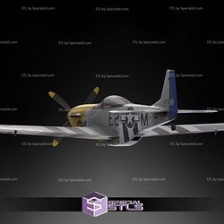 Mustang P-51 3D Printed RC Models