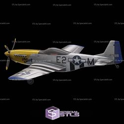 Mustang P-51 3D Printed RC Models