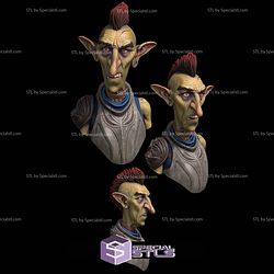 Orcs and Goblins Bust Campaign STL Files