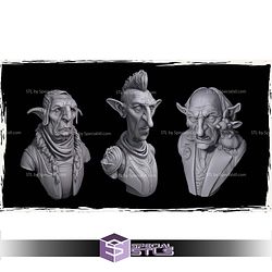 Orcs and Goblins Bust Campaign STL Files