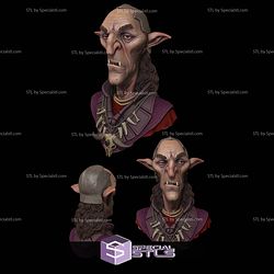 Orcs and Goblins Bust Campaign STL Files