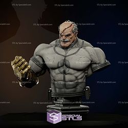 The Old Monster Conquest Bust STL Files