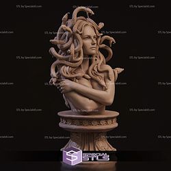 Medusa Bust STL Files