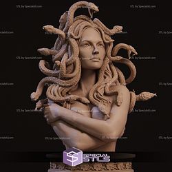Medusa Bust STL Files
