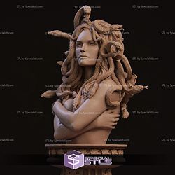 Medusa Bust STL Files