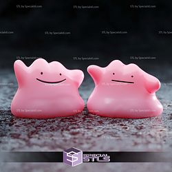 Basic Pokemon Collection Dittos