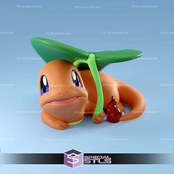Basic Pokemon Collection Rainy Charmander