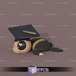 Basic STL Collection Graduation Turtle