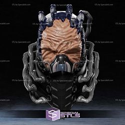Cosplay STL Files All For One Helmet