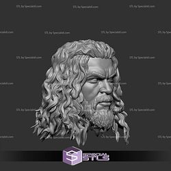 Custom Figure Head Jason Momoa Aquaman
