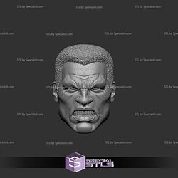 Custom Figure Head STL Collection - Icon Marvel Angry