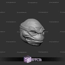 Custom Figure Head STL Collection - TMNT Leonardo
