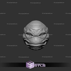 Custom Figure Head STL Collection - TMNT Leonardo