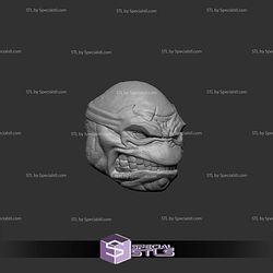Custom Figure Head STL Collection - TMNT Raphael