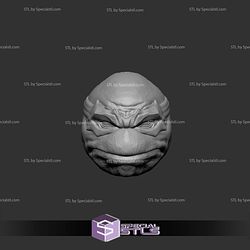 Custom Figure Head STL Collection - TMNT Donatello