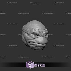 Custom Figure Head STL Collection - TMNT Donatello