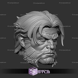 Custom Figure Head STL Collection - Wolverine Ultimate