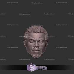 Custom Head STL - Black Panther TChalla