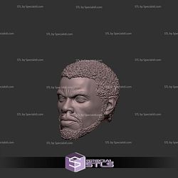 Custom Head STL - Black Panther TChalla