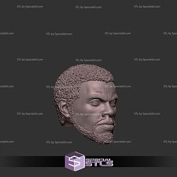 Custom Head STL - Black Panther TChalla