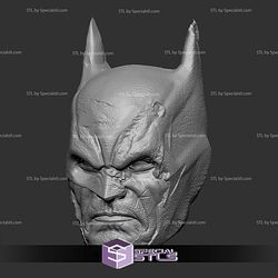Custom Head STL Batman Damage