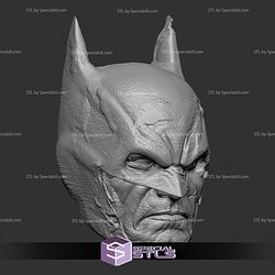 Custom Head STL Batman Damage