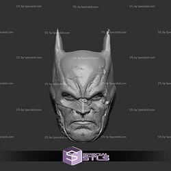 Custom Head STL Batman Damage
