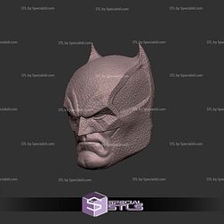 Custom Head STL Batman Gotham City