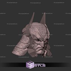 Custom Head STL Batman Samurai