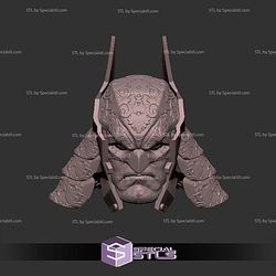 Custom Head STL Batman Samurai