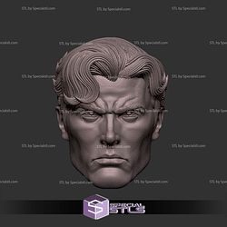 Custom Head STL Ben Reilly