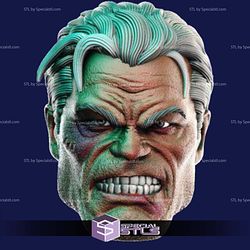 Custom Head STL Collection - Old Bruce Wayne Angry