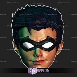 Custom Head STL Collection - Robin 97s Smirking