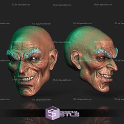 Custom Head STL Collection - Vulture Smiling