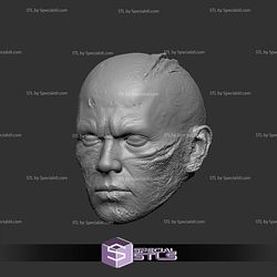 Custom Head STL Collection Anakin Skywalker Burn