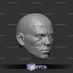Custom Head STL Collection Anakin Skywalker Burn