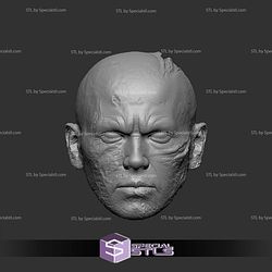 Custom Head STL Collection Anakin Skywalker Burn