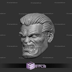 Custom Head STL Collection Old Bruce Wayne Angry