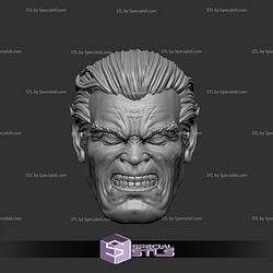 Custom Head STL Collection Old Bruce Wayne Angry