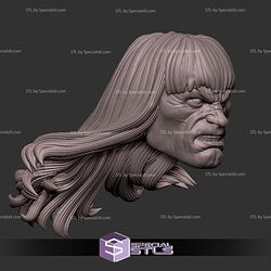 Custom Head STL Conan Angry
