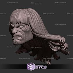 Custom Head STL Conan Angry