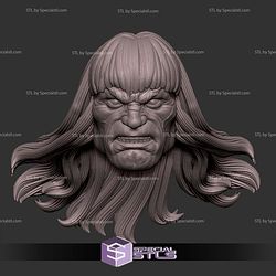 Custom Head STL Conan Angry