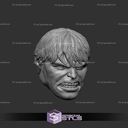 Custom Head STL Edward Norton Hulk