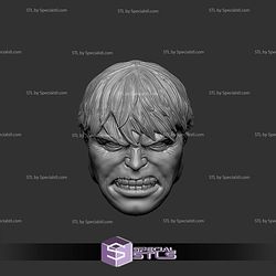 Custom Head STL Edward Norton Hulk