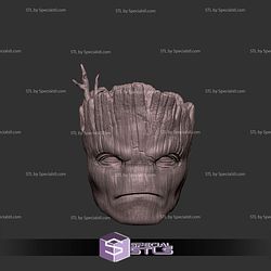 Custom Head STL Groot Angry