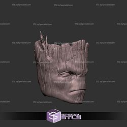 Custom Head STL Groot Angry