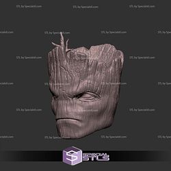 Custom Head STL Groot Angry