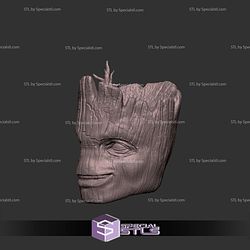 Custom Head STL Groot Smiling